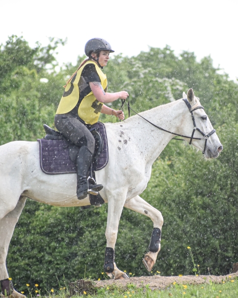 Cheval et cavalière