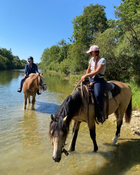 Randonnée à cheval dans les eaux