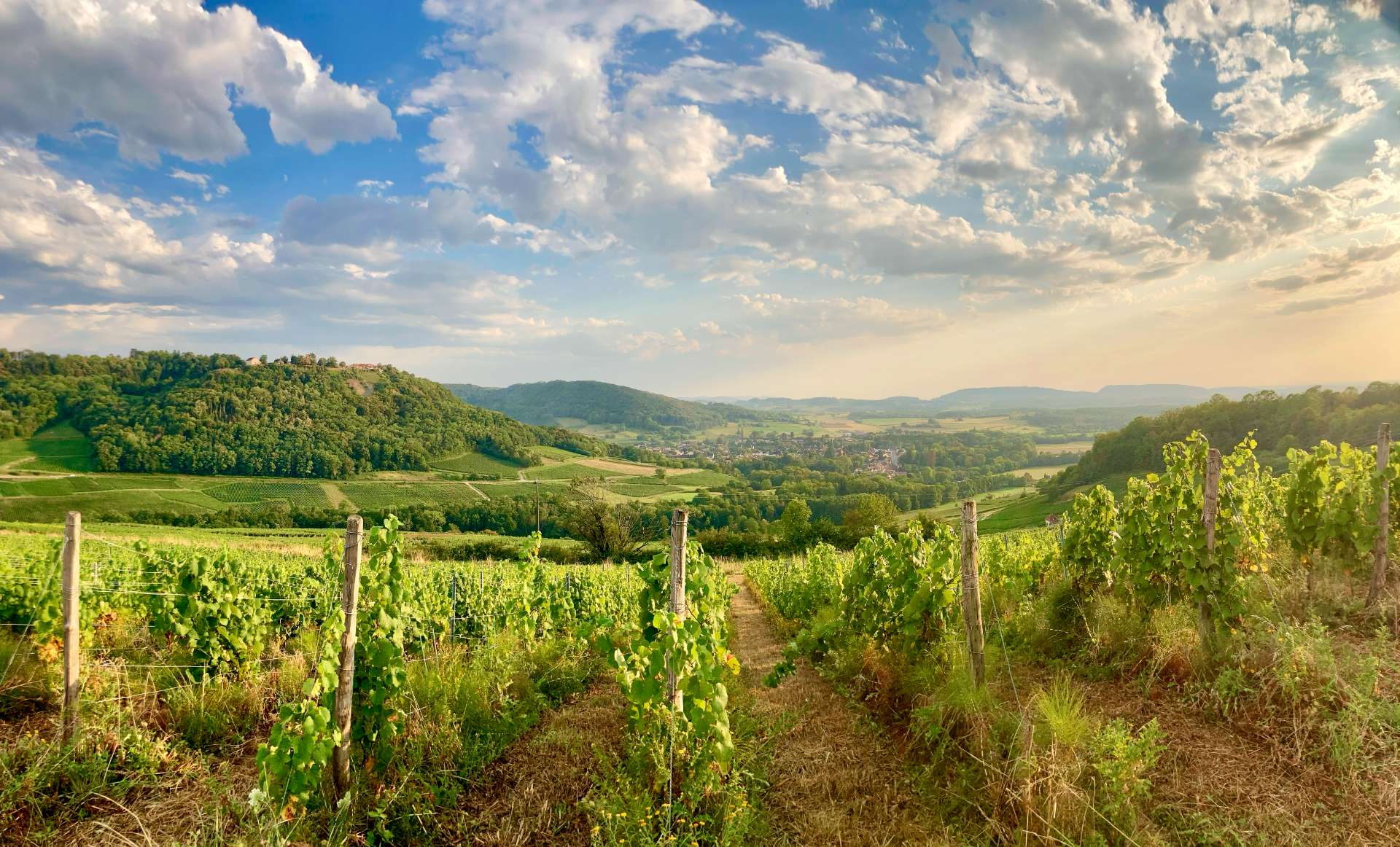 Photo d'un paysage du Jura