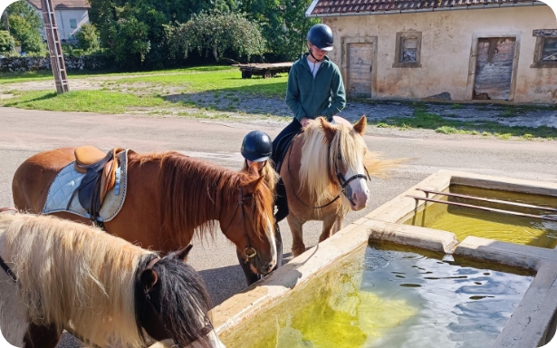 Randonnée à cheval dans le Jura