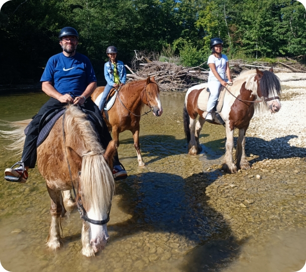 Randonnée à cheval dans le Jura