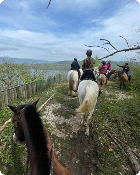 Balade à cheval dans le Jura