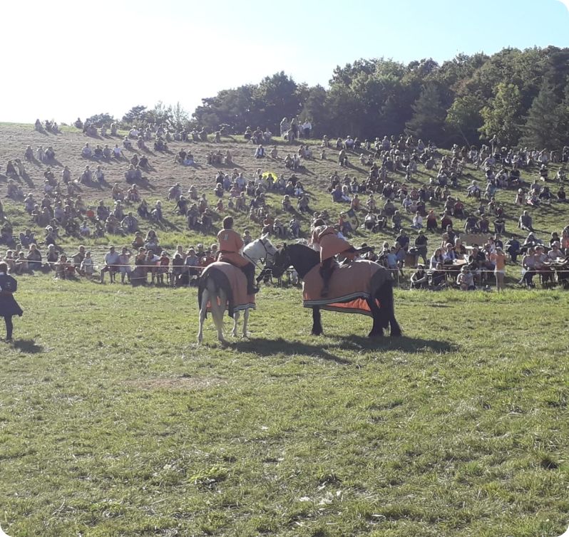 Spectacle équestre - représentation