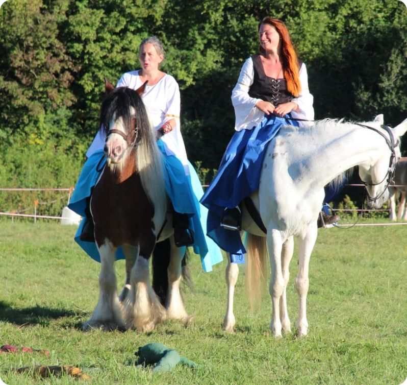 Spectacle équestre - scène et chevaux